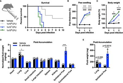 Nociceptive Sensory Neurons Mediate Inflammation Induced by Bacillus Anthracis Edema Toxin